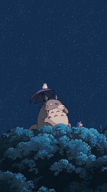 My Neighbor Totoro Aesthetic HD phone wallpaper