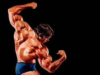 Arnold Schwarzenegger Gym, arnold gym HD wallpaper