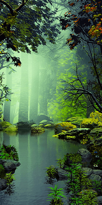 Trees, forest, artwork, nature, ‭1080‬x‭2160‬ in, beautiful landscape android HD phone wallpaper