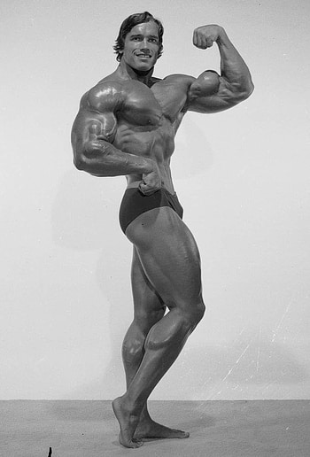 arnold schwarzenegger bodybuilding posters and HD phone wallpaper