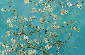 Van Gogh Almond Blossoms HD wallpaper