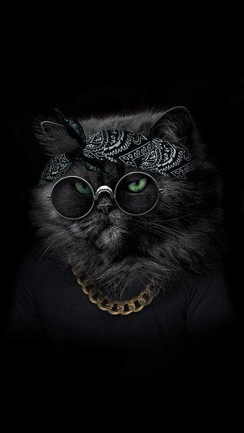 Gangster Kitten , gangster cat HD phone wallpaper
