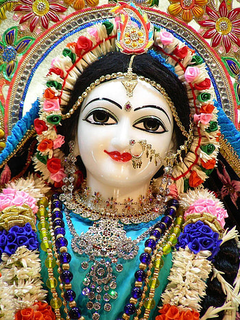 Sri Radha Vrindavan Chandra, radha rani HD phone wallpaper