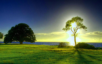 FONDO ESCRITORIO PAISAJE CAMPO AMANECER HD wallpaper